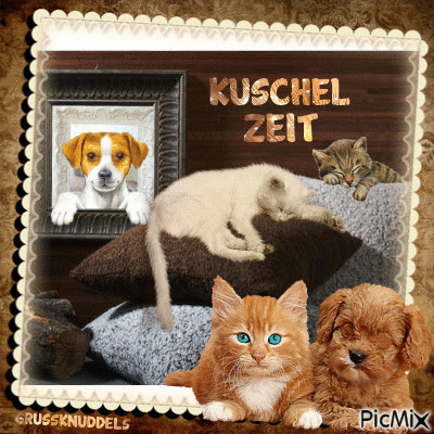 Kuschelzeit - Безплатен анимиран GIF