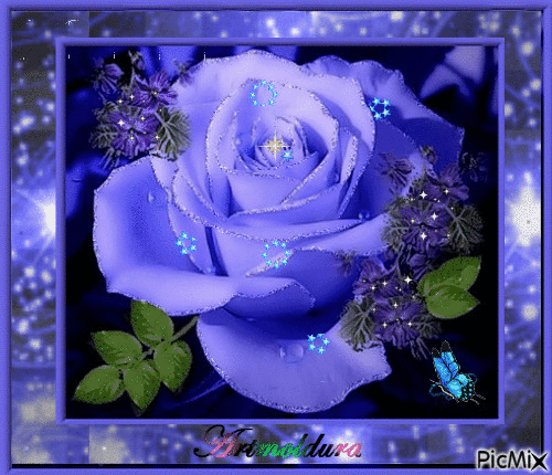 Rosa lilás - GIF animado grátis