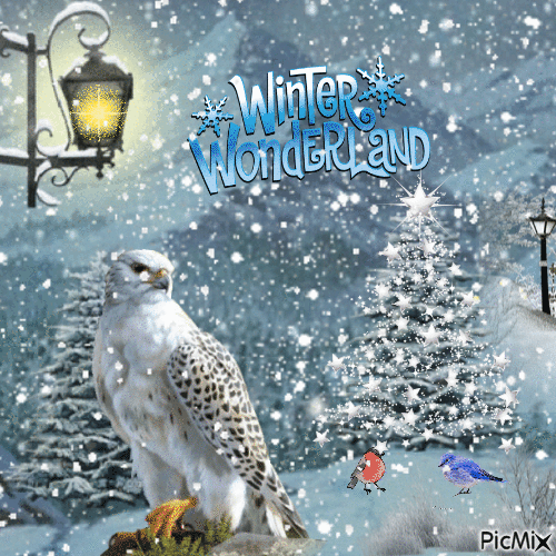 winter. - Ücretsiz animasyonlu GIF