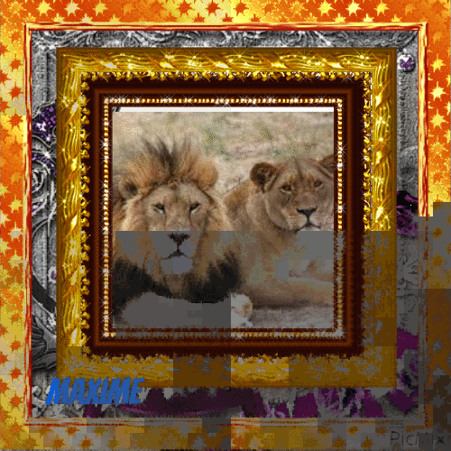 Les lions amoureux - 免费动画 GIF