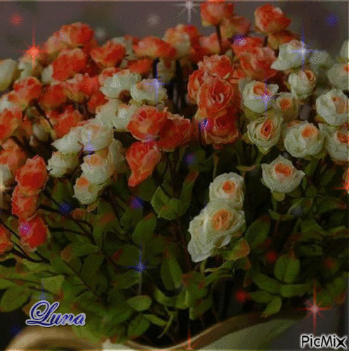 rosas de estrelas coloridas - Безплатен анимиран GIF