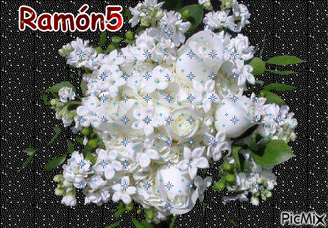Mis Rosas Blancas - Ilmainen animoitu GIF