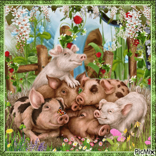 Kleine Schweinchen und Blumen - GIF animé gratuit