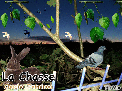 Chasse - Ücretsiz animasyonlu GIF