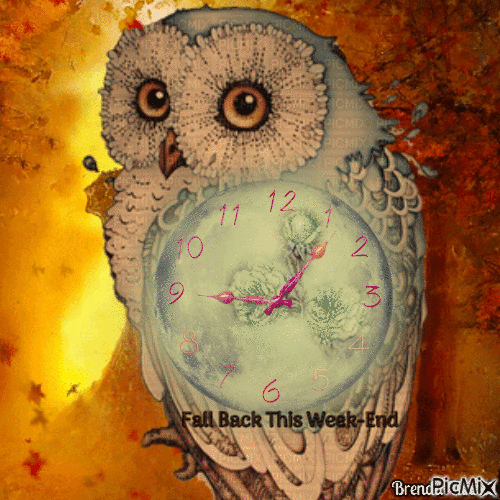 fall back owl - GIF animé gratuit