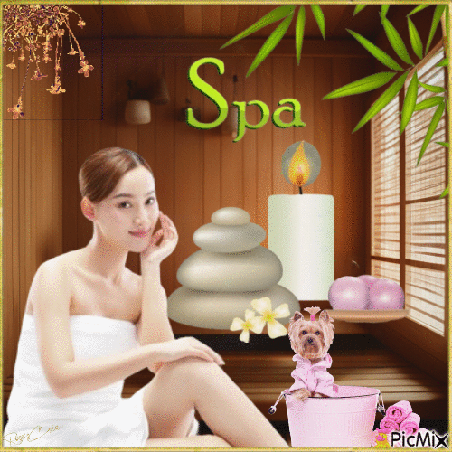 Concours : Journée au spa avec mon animal de compagnie - 無料のアニメーション GIF