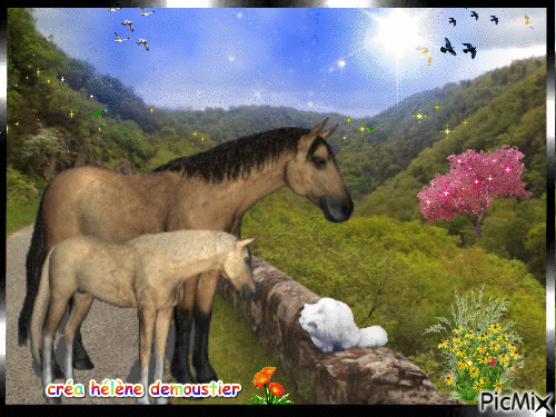 chevaux 2 - Nemokamas animacinis gif