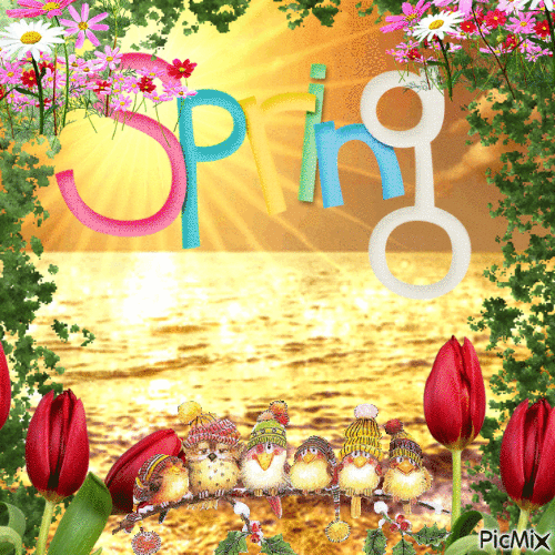 spring mer d'or - Gratis animerad GIF
