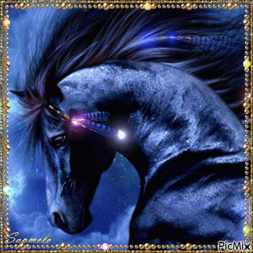 Cavalo negro - Free animated GIF