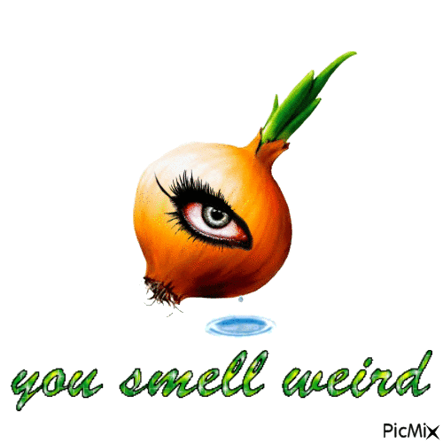you smell weird. - Free animated GIF