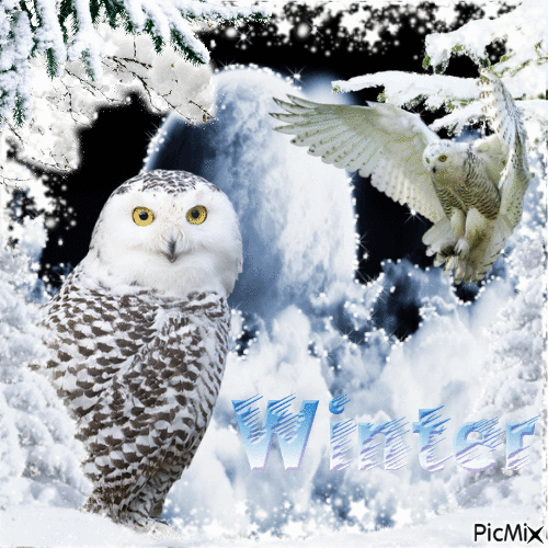 winter - 免费动画 GIF