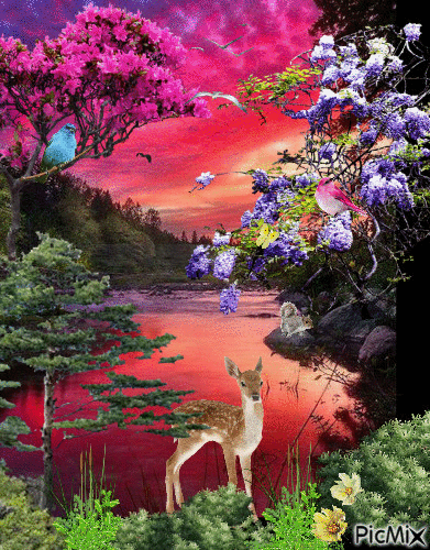 Sunset Lake - Free animated GIF