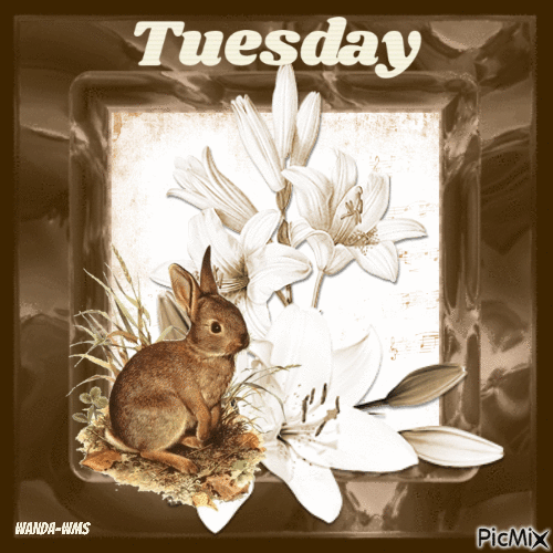 Tuesday-lilies-bunnies - 免费动画 GIF