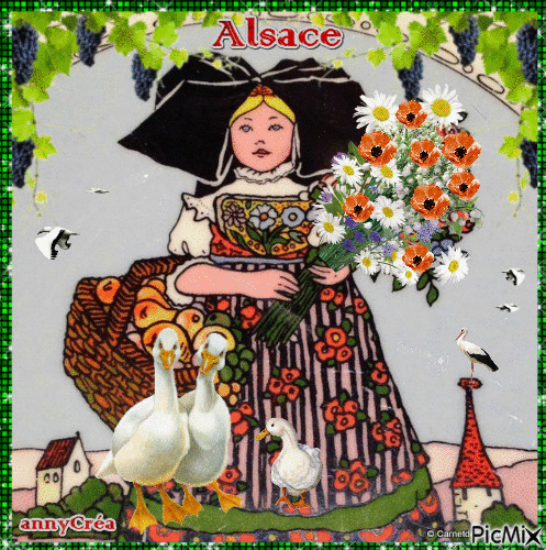 L'Alsace et ses cigognes - Безплатен анимиран GIF