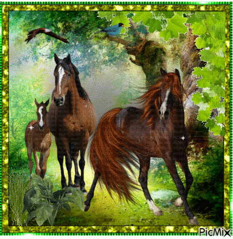 Horses. - Бесплатни анимирани ГИФ