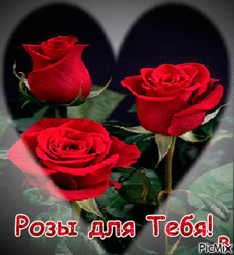 Розы для тебя! - GIF animate gratis