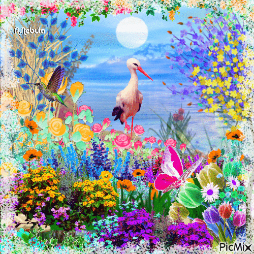 Colorful spring - Free animated GIF