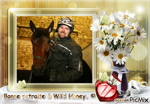 La championne Wild Honey. © - GIF animate gratis
