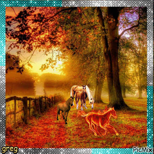 jolie couleur avec des chevaux - Darmowy animowany GIF