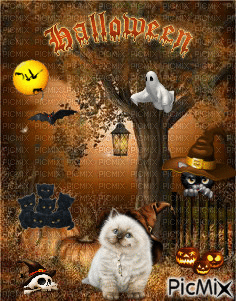 Halloween - Δωρεάν κινούμενο GIF