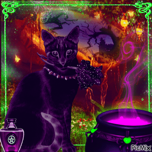 black cat making a magicz - Бесплатный анимированный гифка
