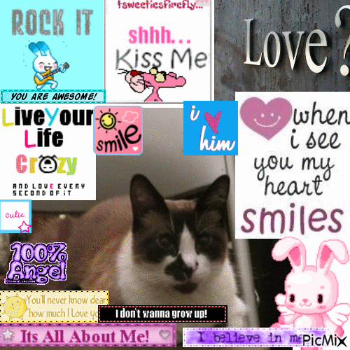 love my meow meow - Nemokamas animacinis gif