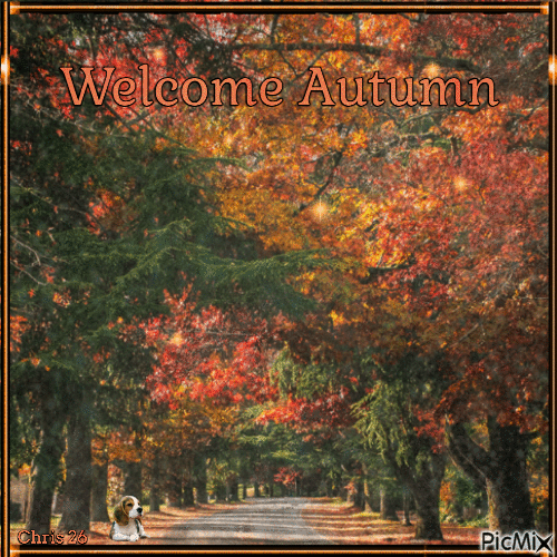 Welcome Autumn - Zdarma animovaný GIF
