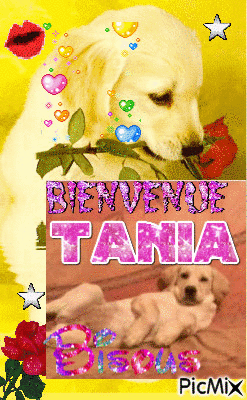 bienvenue à Tania - GIF animé gratuit