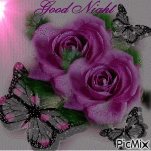 PINK ROSES, THREE SPARKLING BLACK BUTTERFLIES, GOOD NIGHT, AND A FLASHING LIGHT. - Free animated GIF