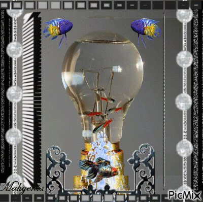 Aquário pote de vidro - Darmowy animowany GIF