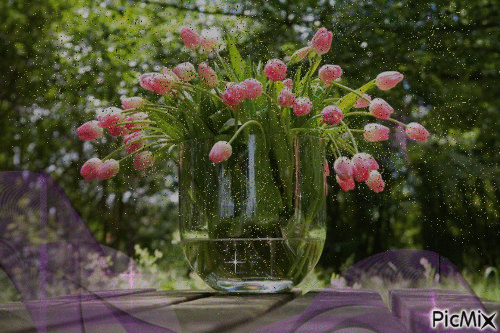 Pink tulips in a glass vase - 免费动画 GIF