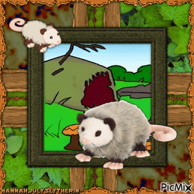 {{The Opossum}} - 無料のアニメーション GIF