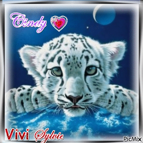 Tigre (pour Cindy) - Animovaný GIF zadarmo