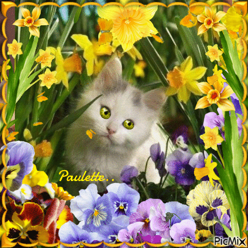 chat dans les fleurs - GIF animado gratis