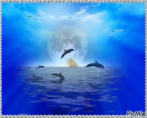 Delfine - Bezmaksas animēts GIF