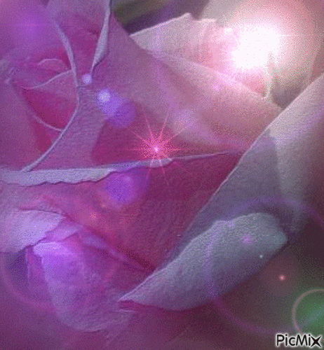 rosen - Gratis geanimeerde GIF