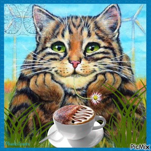Cappucino pour chat. - Free animated GIF