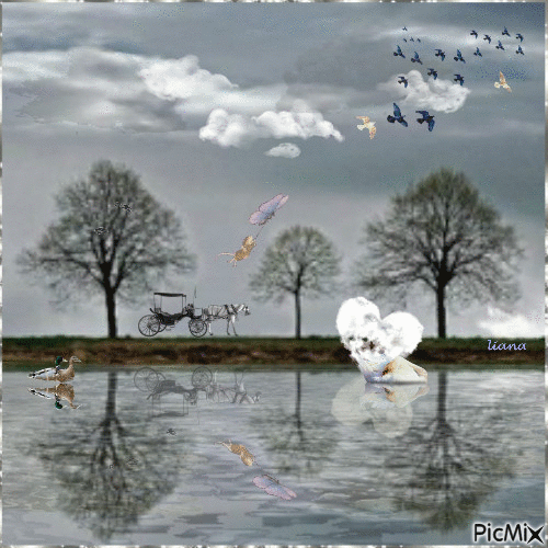~~ nature reflection ~~ - Zdarma animovaný GIF