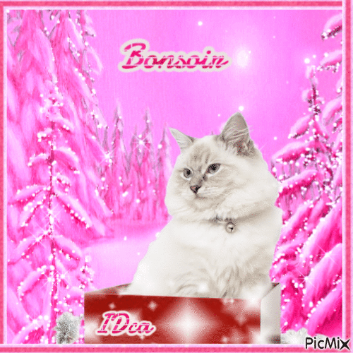 Bonne soirée les chatons - Ingyenes animált GIF