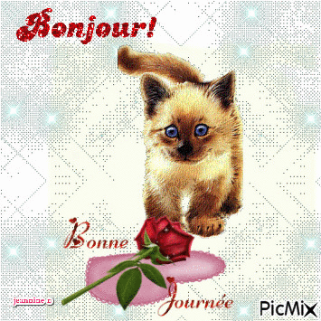 bonjour - Animovaný GIF zadarmo