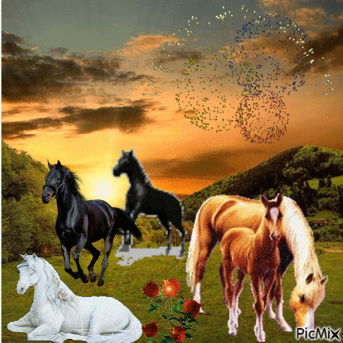 L'amour des chevaux - 免费动画 GIF
