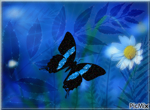 Marguerite et papillon - Nemokamas animacinis gif