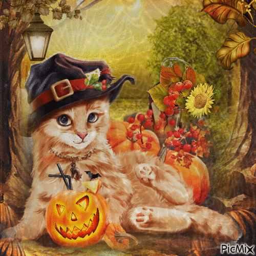 ☆☆ CAT WITCH AUTUMN☆☆ - Free animated GIF