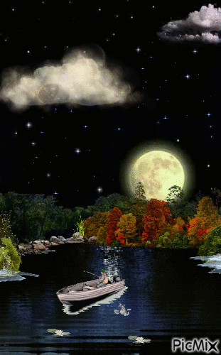 Moon Light Fishing - Ilmainen animoitu GIF