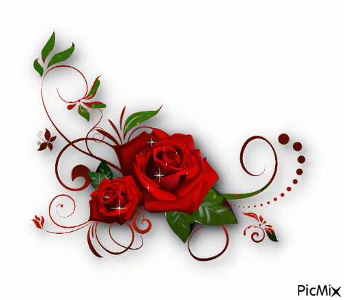 Roses - Zdarma animovaný GIF
