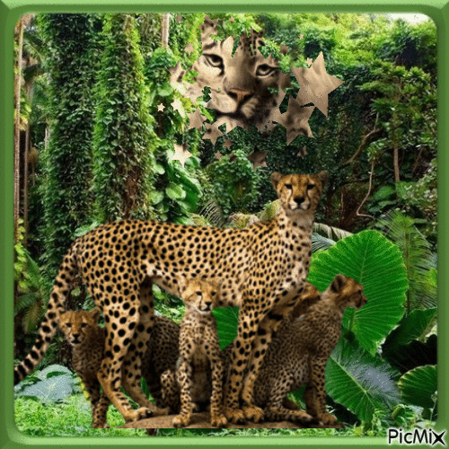 Leopard - Gratis geanimeerde GIF
