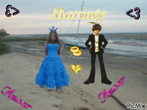 mariage de clémence - GIF animé gratuit