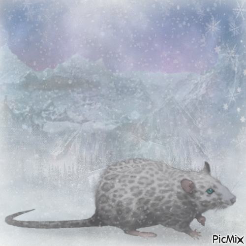 Snow leopard rat - Бесплатный анимированный гифка