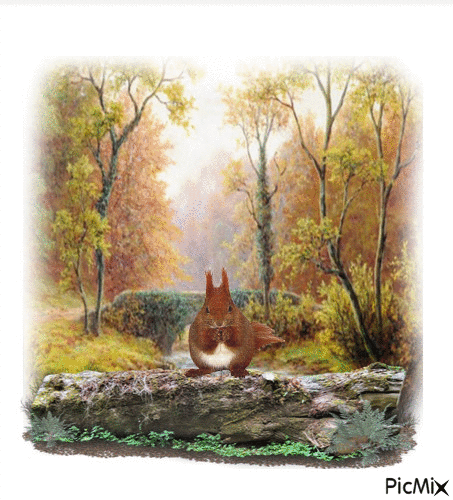 Fox squirrel - Ingyenes animált GIF
