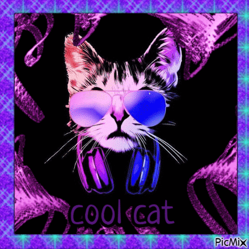 cool cat - Nemokamas animacinis gif